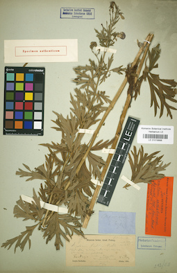LE 01019998