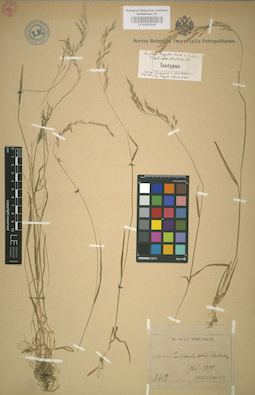 LE 01001930