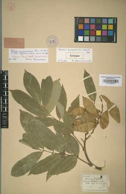 LE 01009387