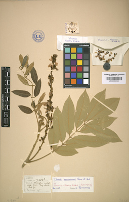 LE 01009388