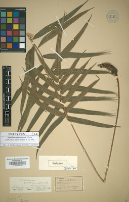 LE 01009838