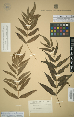 LE 01009839