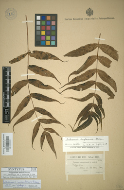 LE 01009840