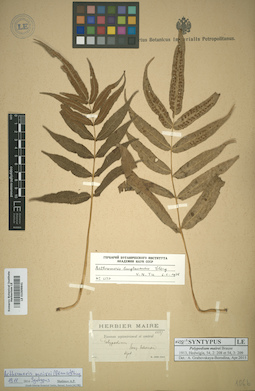 LE 01009841
