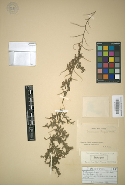 LE 01009843
