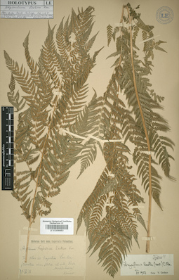 LE 01009853