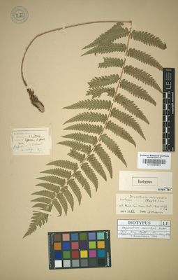 LE 01009855