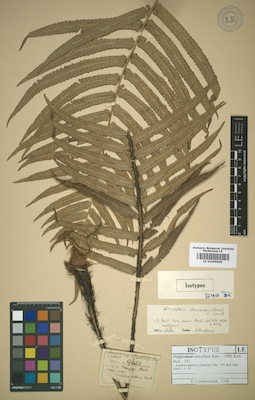 LE 01009860