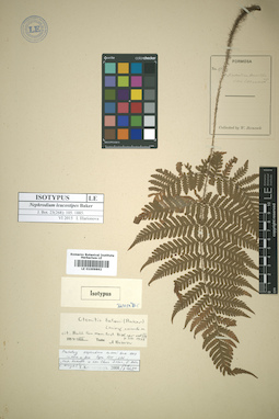 LE 01009862