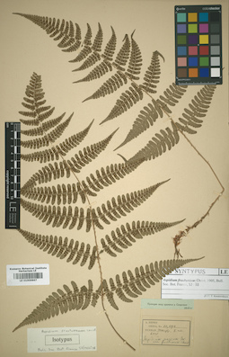 LE 01009867