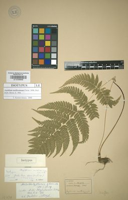 LE 01009868