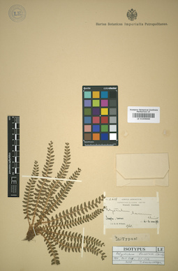 LE 01009869