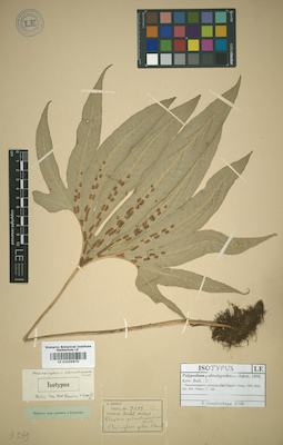 LE 01009870