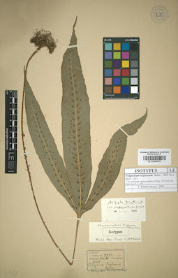LE 01009871
