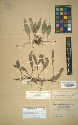 LE 01009872