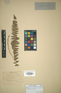 LE 01009875