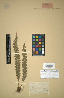 LE 01009881
