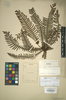 LE 01009883
