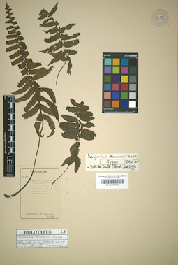 LE 01009890