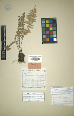 LE 01009897