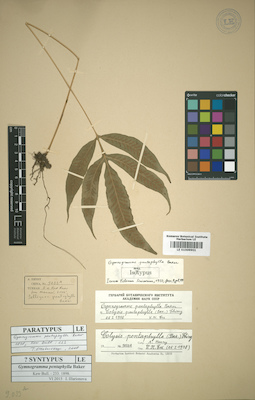 LE 01009901