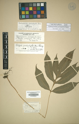 LE 01009902