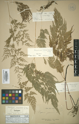 LE 01009904