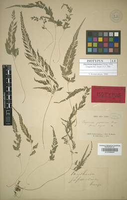 LE 01009905