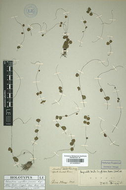 LE 01009907