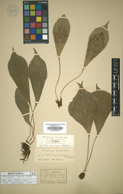 LE 01009914