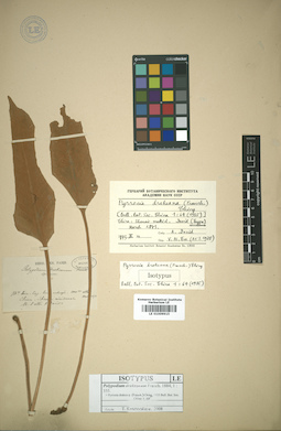 LE 01009915