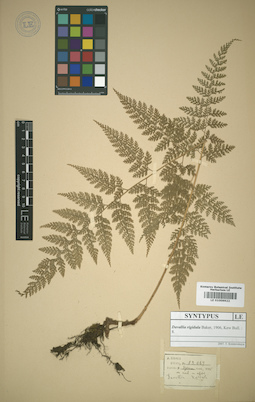 LE 01009922