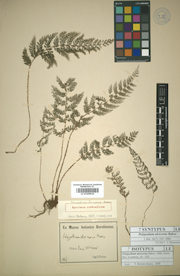 LE 01009926