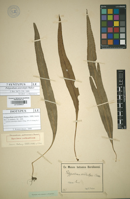 LE 01009927