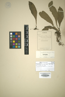 LE 01009930