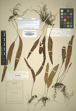 LE 01009931
