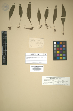 LE 01009932