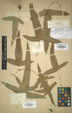 LE 01009934