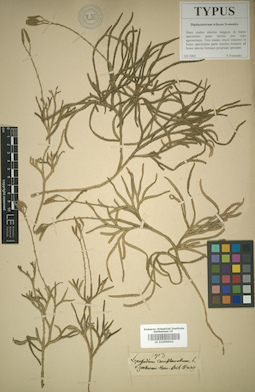 LE 01009942