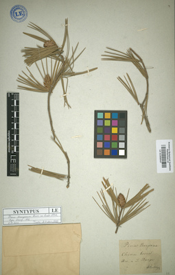 LE 01009947