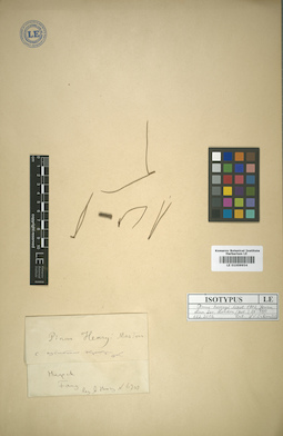 LE 01009954