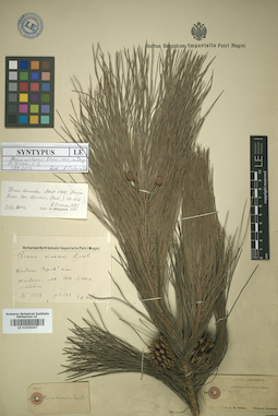 LE 01009967
