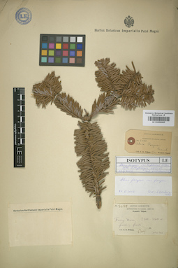 LE 01009985