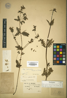 LE 01010314
