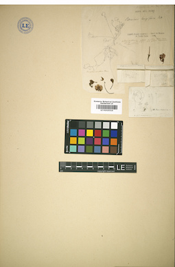 LE 01010316