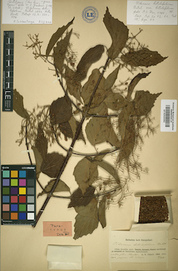 LE 01010362