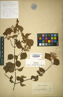 LE 01010363