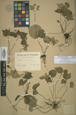 LE 01010378