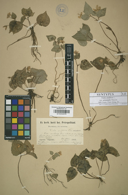 LE 01010379