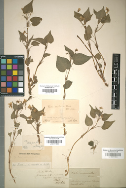 LE 01011514